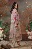 Shamaeel - CHIFFON D2 - Pure Chiffon