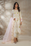 Shamaeel - EB-06 - Viscose Silk/Organza