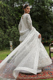 Shamaeel - Zuri-05 - Pure Organza/Sheesha Silk
