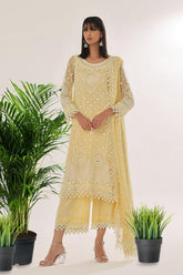 Rizwan Beyg - Hayat Yellow - Cotton Net - Yellow - 2 Piece