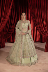 Anayra Amal - Paalki - Mint Green - Organza - 3 Piece