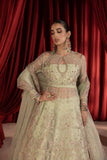 Anayra Amal - Paalki - Mint Green - Organza - 3 Piece