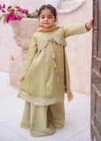 Modest - Maysuri Embroidered Gharara For Girl - Olive Green - 3 Piece