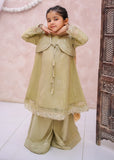 Modest - Maysuri Embroidered Gharara For Girl - Olive Green - 3 Piece