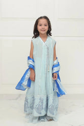 Shehrnaz - SHKK-982 - Light Blue - Block Print - Angarkha - 3 Piece - Studio by TCS