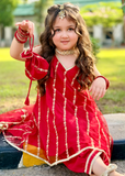 Modest - Net Embroidered Suit For Girl - 3 Piece