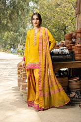 Arif Ashraf - Palkii