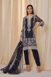 Rizwan Beyg Design - Amritsar - Cotton Net - Black - 2 Piece