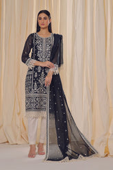 Rizwan Beyg Design - Muradabad - Organza Net - Navy Blue - 2 Piece