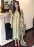 Maheen Ghani Taseer - Olive Fantasy
