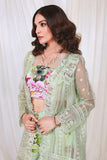 Reema Ahsan - NURAY - Organza - Lime green - 4 Piece