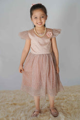Hummingbirdspk - Peach Shimmery Party Dress