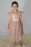 Hummingbirdspk - Peach Shimmery Party Dress