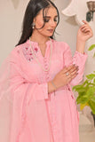 Ruby Couture - AYZAL - Raw Silk - 3 Piece