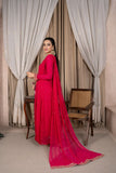 Reema Ahsan - Armin - Chiffon & Grip - Pink - 2 Piece
