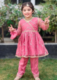 Modest - Net Embroidered Suit For Girl - 3 Piece