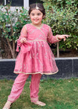 Modest - Net Embroidered Suit For Girl - 3 Piece