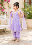 Modest 3 Piece Purple Net Embroidered Suit