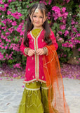 Modest - Rawsilk Embroidered Gharara For Girl - 3 Piece