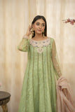 Sadia Aamir - Zyra - Sage Green - Organza - 2 Piece