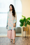 Urooj Atelier - EE-020-25 - flamingo pink - Chiffon & Velvet Silk - 3 Piece