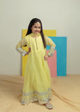 Kidoz Kloset - Silver Lime Chiffon Frock For Girl