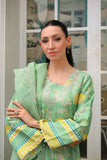 Reema Ahsan - Imara - PK Raw Silk & Organza - Mint Green - 3 Piece