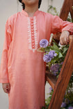 Hummingbirds - Rosy Apricot Embroidered Kurta For Boy