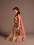 Cheeco Chic - Maisoori Net Lehanga For Girl - Gold - 3 Piece