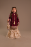 Cheeco Chic - Velvet & Organza Gharara For Girl - Pink - 3 Piece