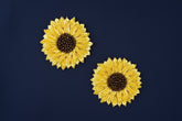Chapter 13 - Sunflower Motif