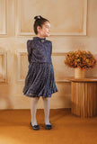 Hummingbirdspk - Moonlight navy Blue Shimmery Dress - chiffon - 1 piece