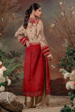 Shamaeel - ED D3 - Studio by TCS