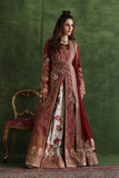 Shamaeel - CE-02 - Raw Silk & Organza/Viscose Silk/Soft Net