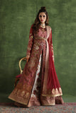 Shamaeel - CE-02 - Raw Silk & Organza/Viscose Silk/Soft Net