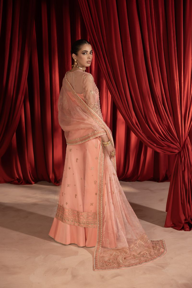 Anayra Amal - Gulaab - Peachy Pink - Organza - 3 Piece