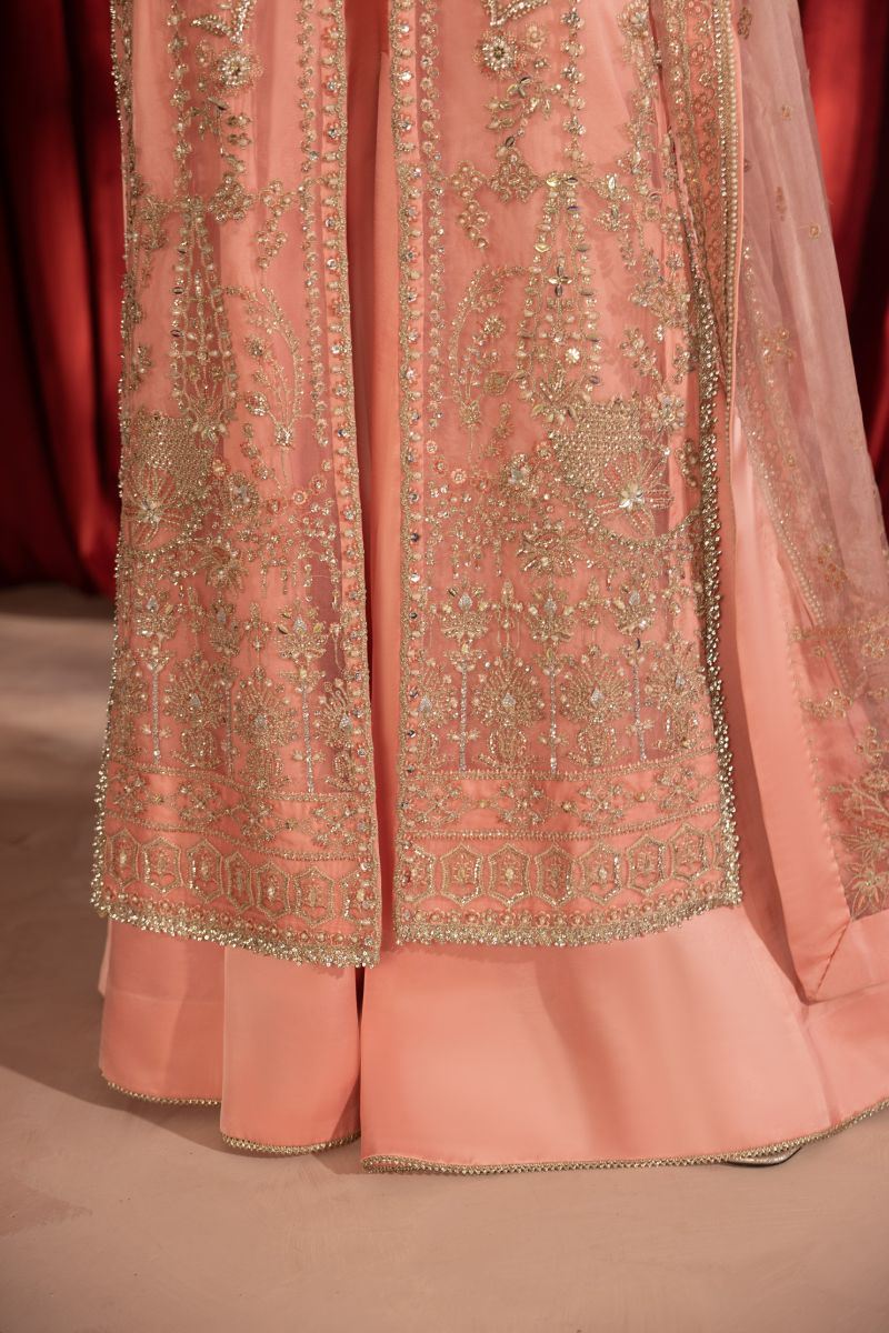 Anayra Amal - Gulaab - Peachy Pink - Organza - 3 Piece