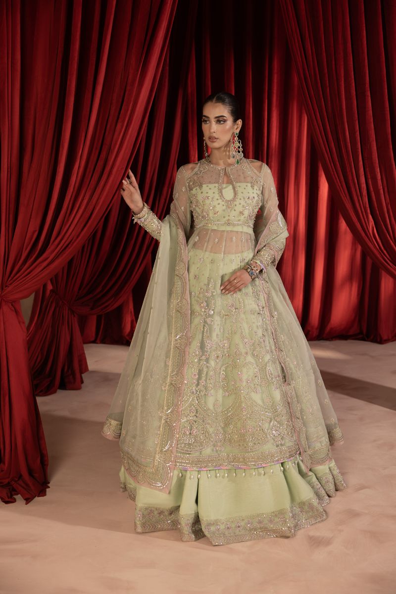 Anayra Amal - Paalki - Mint Green - Organza - 3 Piece