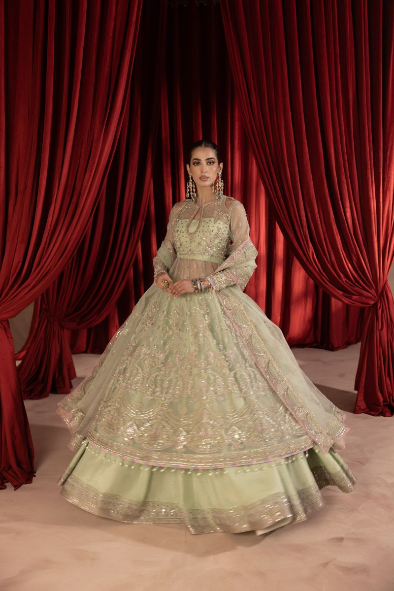 Anayra Amal - Paalki - Mint Green - Organza - 3 Piece