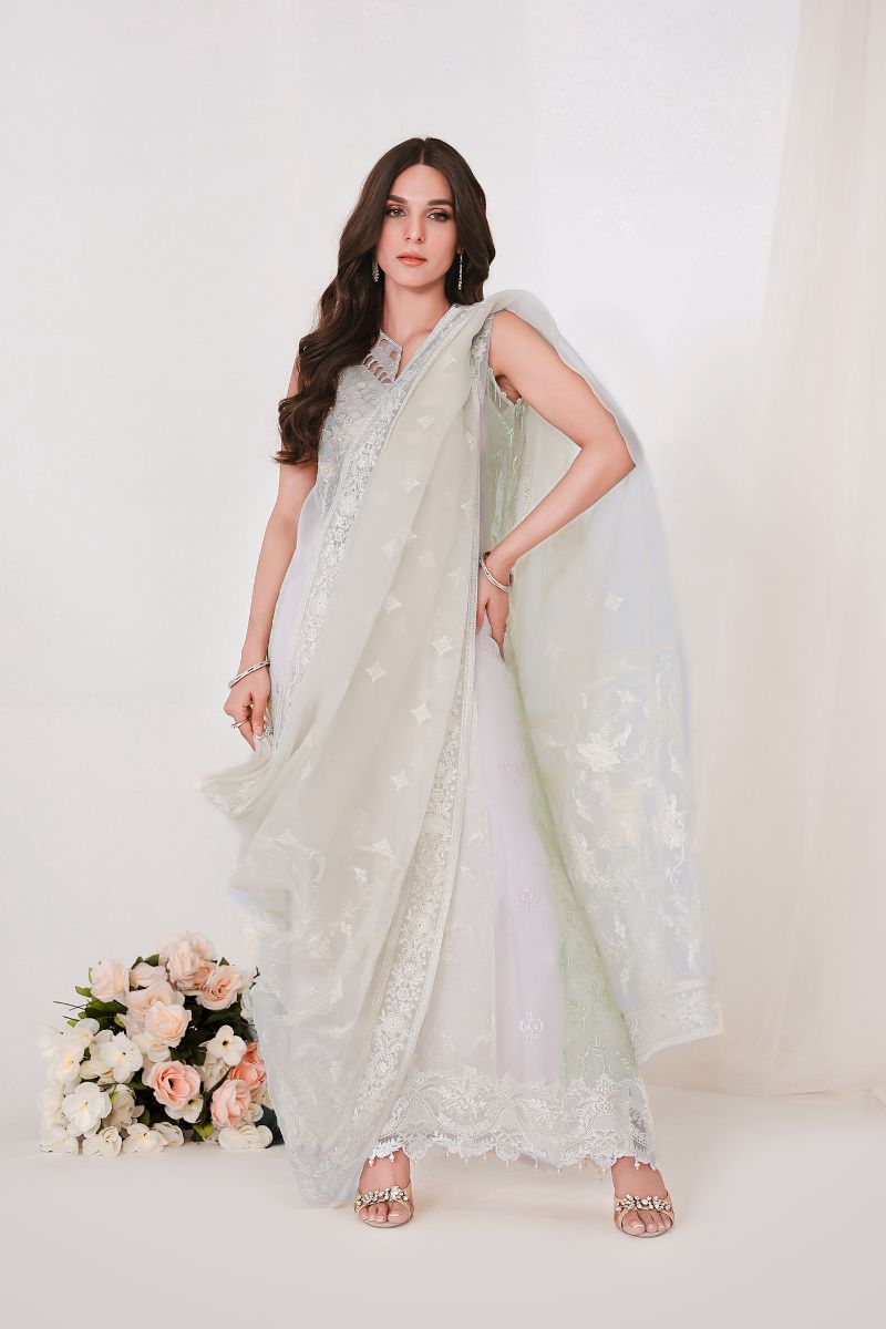 Reema Ahsan - GEET - Organza - Skin - 3 Piece