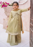 Modest - Maysuri Embroidered Gharara For Girl - 3 Piece