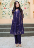 Modest Embroidered Crinkle Suit Blue 3 Piece