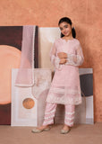 Laleen Zari 3 Piece Suit Pink