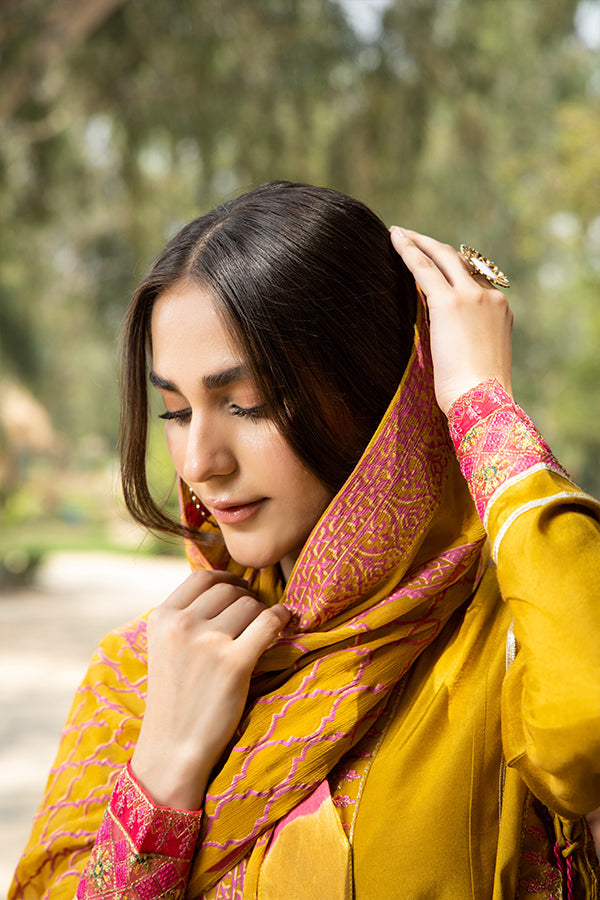 Arif Ashraf - Palkii