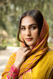 Arif Ashraf - Palkii