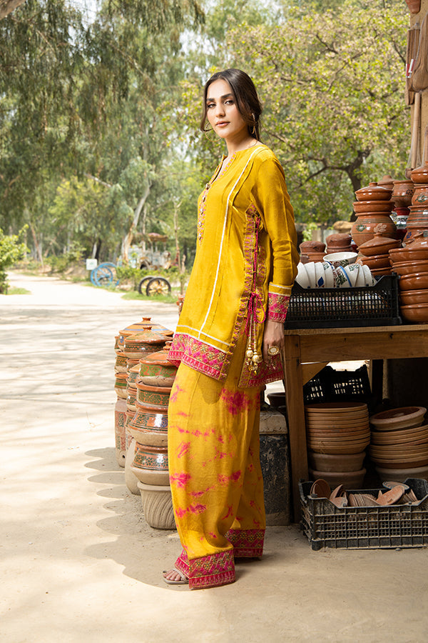 Arif Ashraf - Palkii