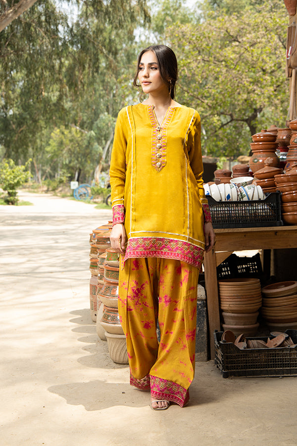 Arif Ashraf - Palkii