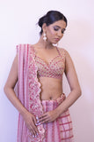 Shahid Chuhan - Rosy Rhapsody Soft Net Saree For Women - Pink