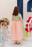 Hummingbirdspk - Rose Quartz & Mint Green Peshwaz 4 Piece