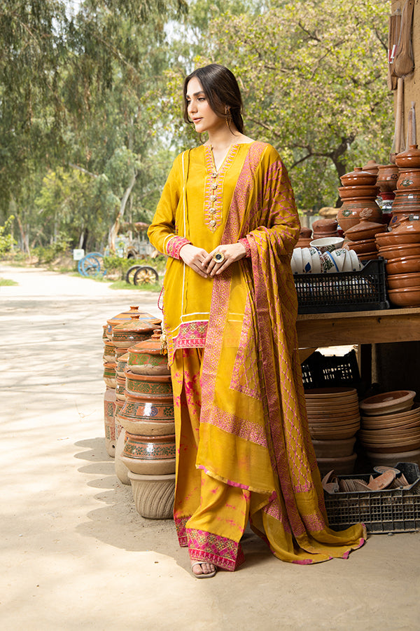 Arif Ashraf - Palkii